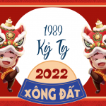 tuoi-xong-dat-hop-voi-tuoi-ky-ty-1989