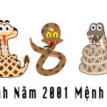 nam-2001-menh-gi