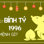 sinh-nam-1996-menh-gi