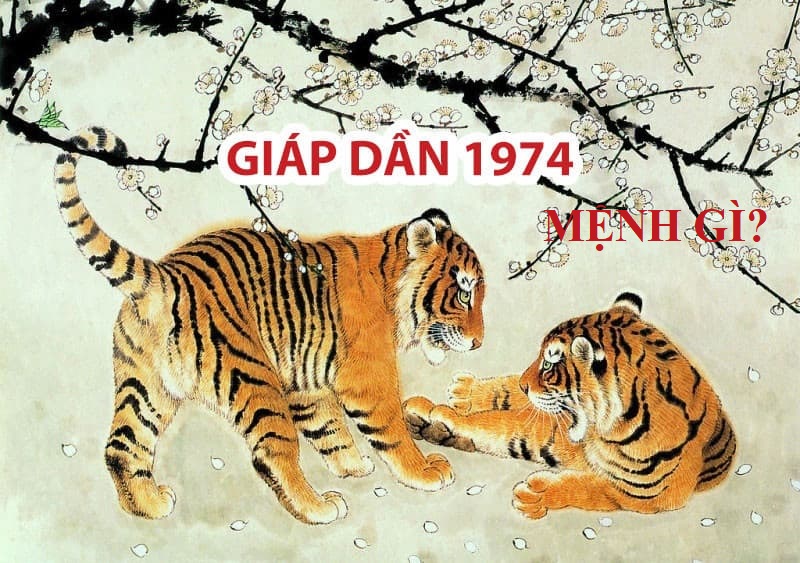 sinh-nam-1974-menh-gi