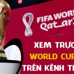 VTV2, VTV3, VTV5, VTV Cần Thơ trực tiếp bóng đá World Cup 2022 hôm nay