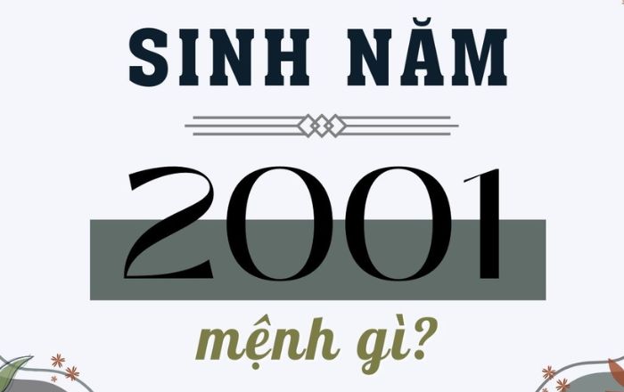 nguoi-sinh-nam-2001-thuoc-menh-kim-bach-lap-kim 