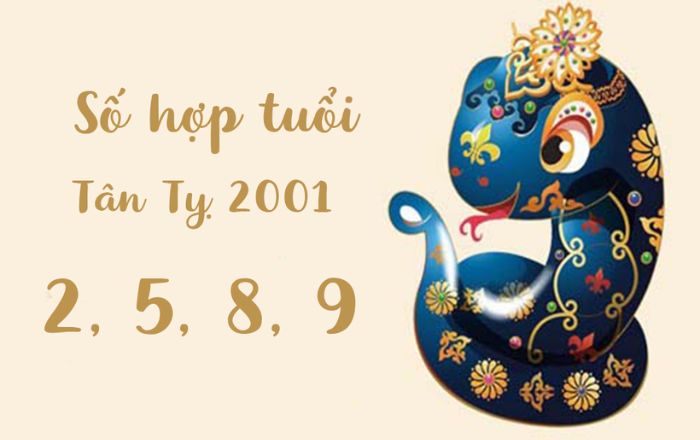 nguoi-sinh-nam-2001-hop-voi-con-so-2-5-8-9
