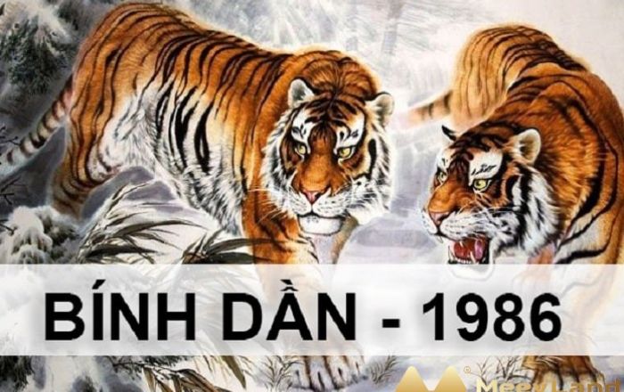 nguoi-sinh-1986-xay-nha-nam-2024-pham-phai-han-kim-lau-the 