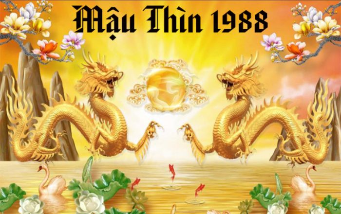 tuoi-1988-xay-nha-nam-2024-pham-phai-han-tam-tai 