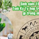 tuoi-ky-ty-trong-cay-gi-hop-phong-thuy